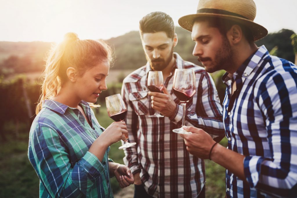 box dégustation de vin