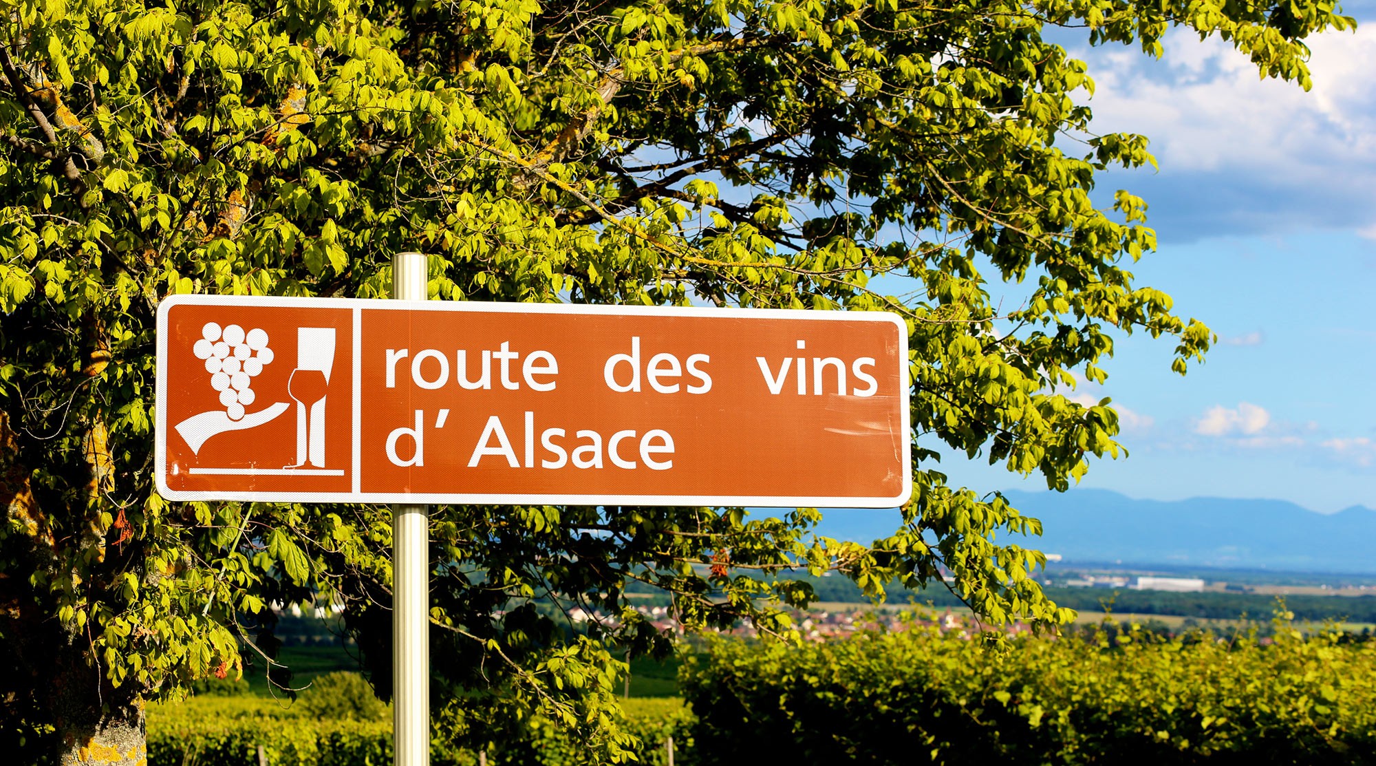 Route des vins Alsace