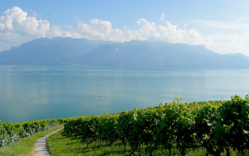 Canoë au Lac Léman