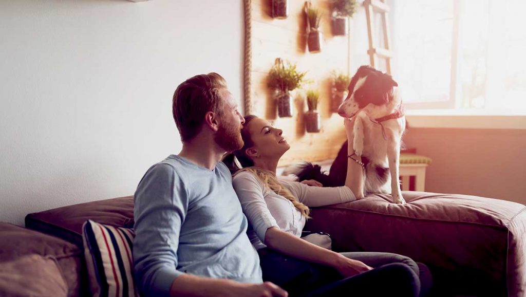 Activités à faire à la maison