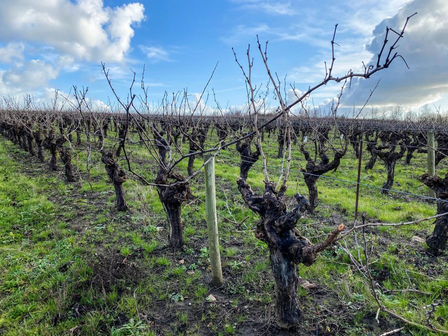 Domaine Topaze Nantes