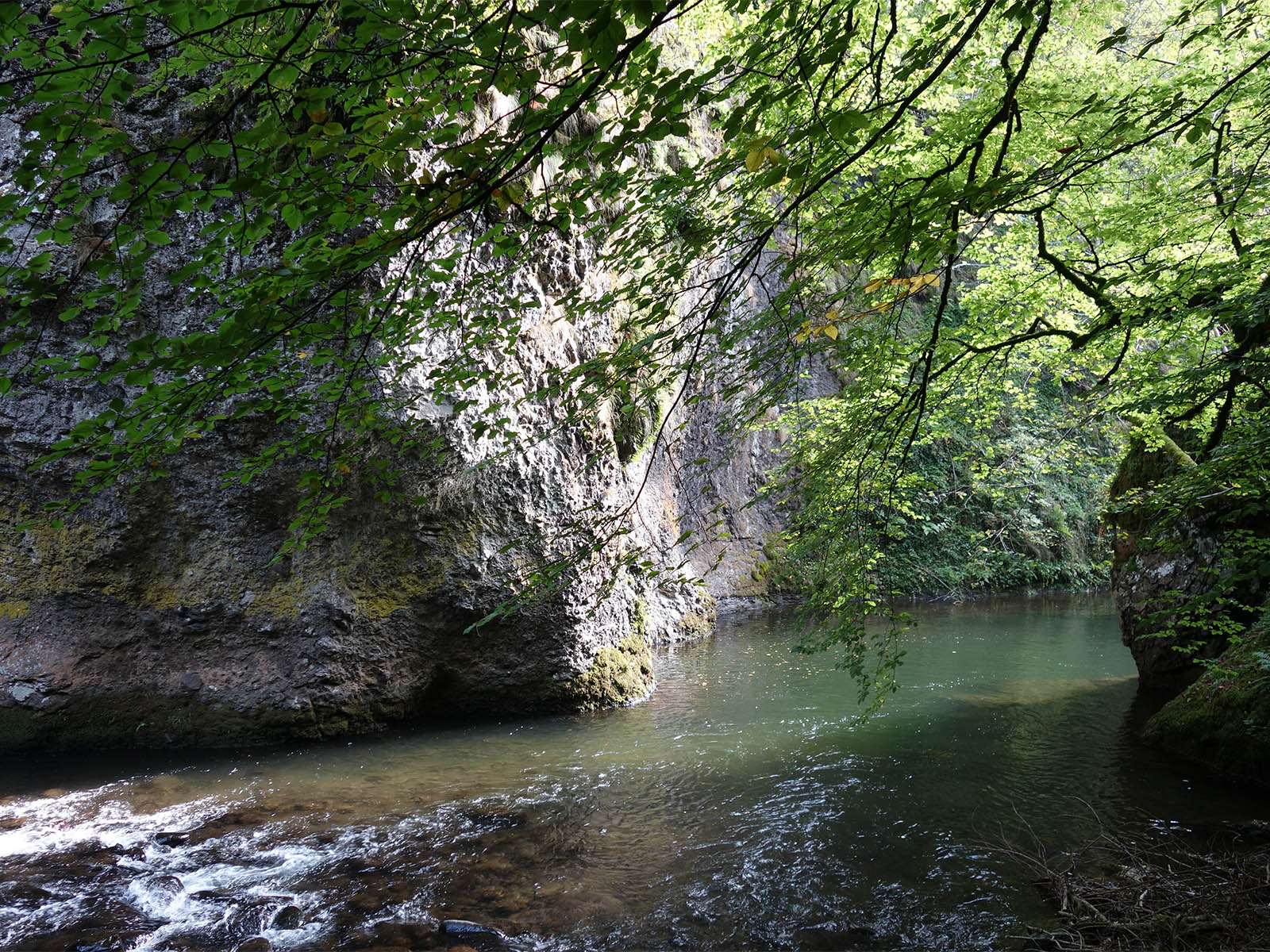 Les Gorges de la Jordanne dans le Cantal