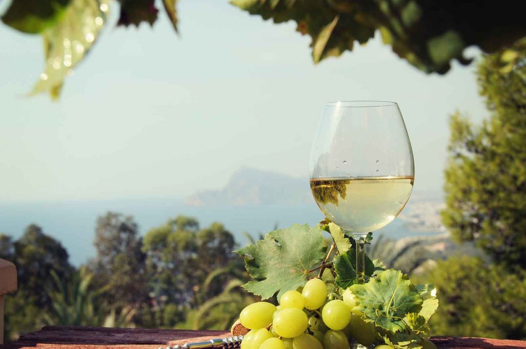 Région Viticole de France