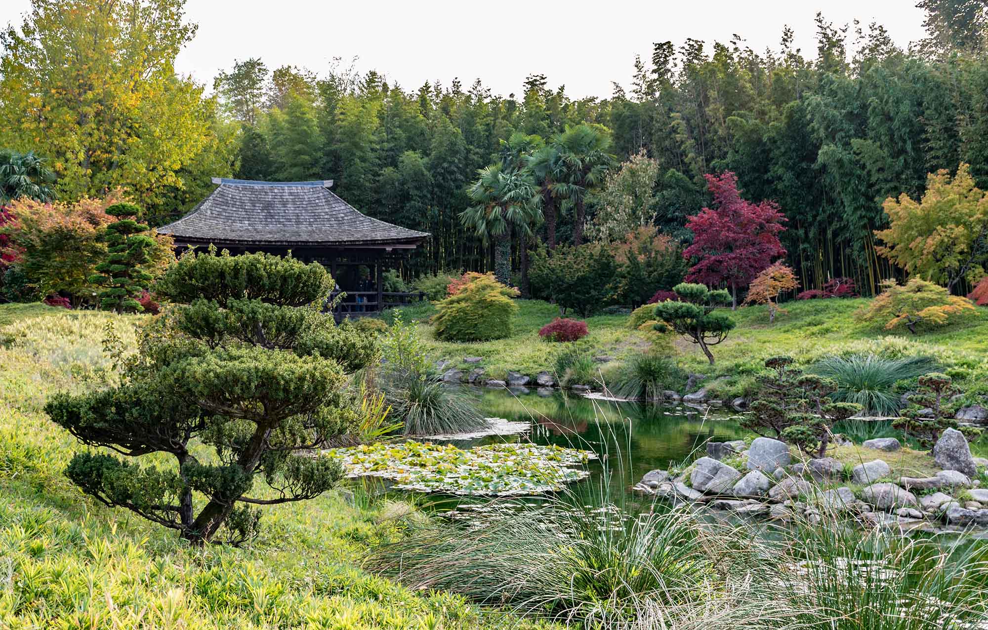 Bambourserai de Prafrance