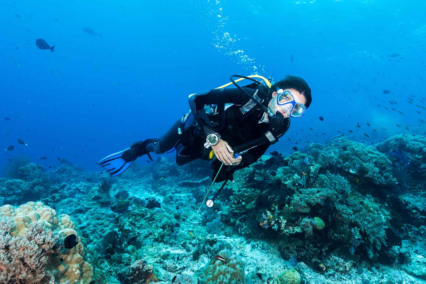 Idée cadeau originale femme enceinte