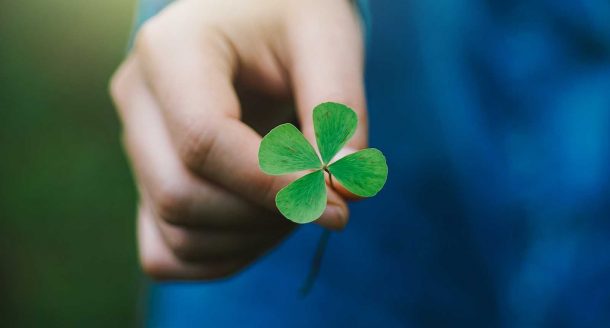 Votre participation a bien été enregistrée !